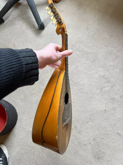 Viscardo Maccolini Rare Italian Unusual Flat Back Neopolitan Mandolin Project