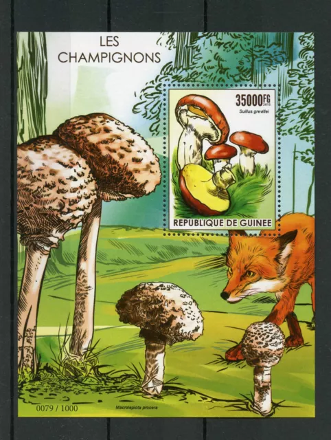 Guinea 2015 MNH Mushrooms 1v S/S Fungi Les Champignons