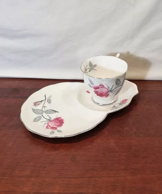 Vintage Royal Albert 60's Trent Rose Fine Bone China Tennis