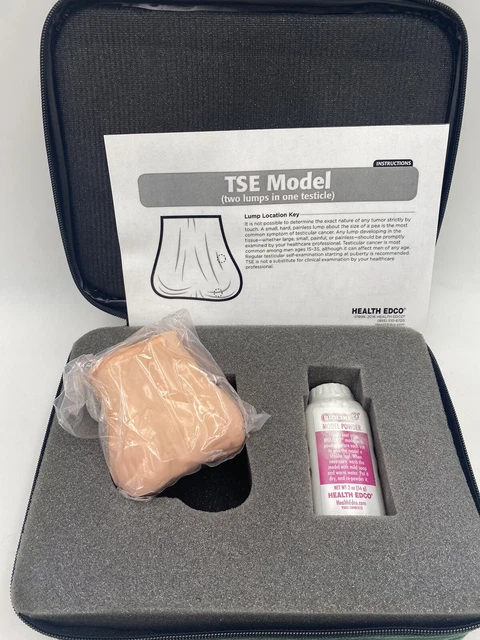 HEALTH EDCO HEALTH Education 26406E TSE Model Two Lumps in one Testicle ...
