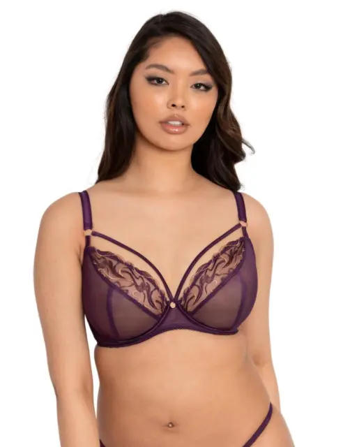 SCANTILLY BY CURVY Kate Heart Throb Plunge Bra ST001101 Womens Sexy Bras  $18.31 - PicClick