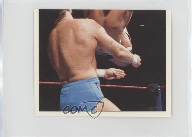 1997 Panini WWF Superstars Album Stickers The Rock Rocky Maivia #124