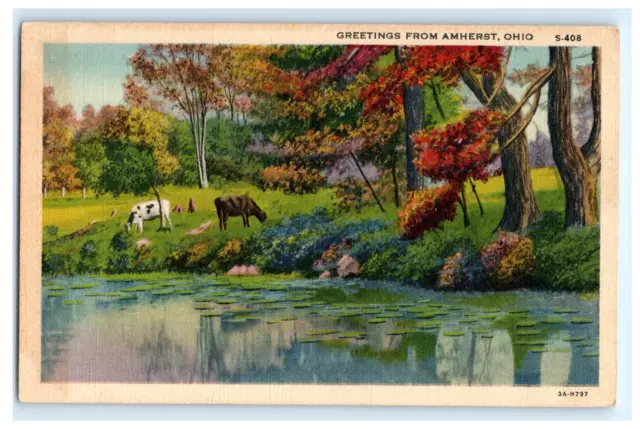 Postcard OH Greetings from Amherst Ohio Cows By Stream Rural Scene Linen