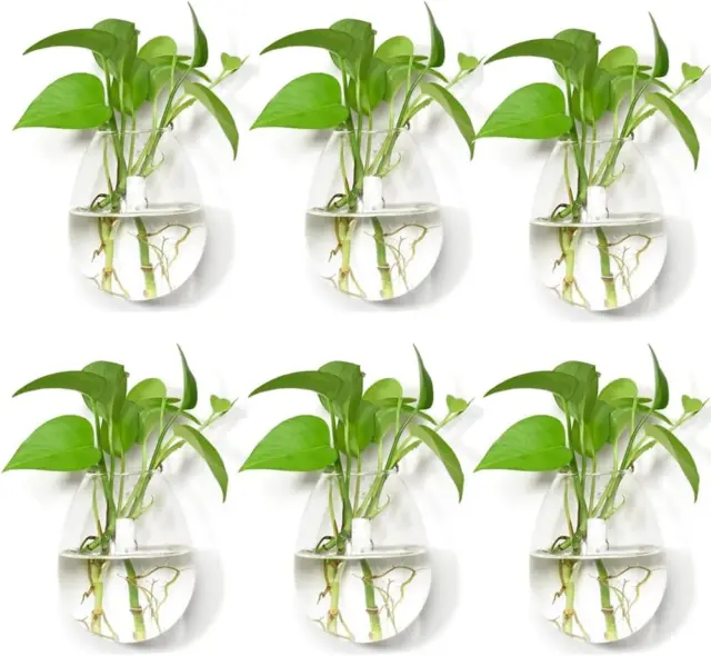 Pack of 6 Glass Wall Hanging Planters Glass Plant Terrarium Indoor Planter Wall
