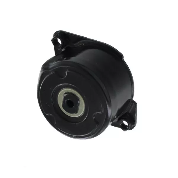 SKF Poulie-tendeur courroie trapézoïdale à nervures | VKM 38304 | Pour BMW