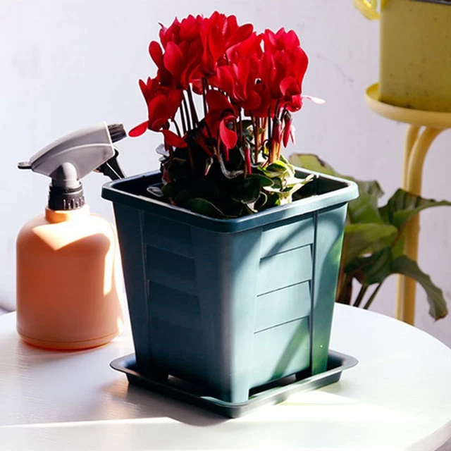 Plastique Accueil Pot de Plante Planteur Pots de fleurs Boîte succulente 3