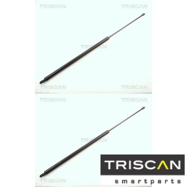 2 molle a gas per bagagliaio/carico triscan 87106507 copriferro a gas