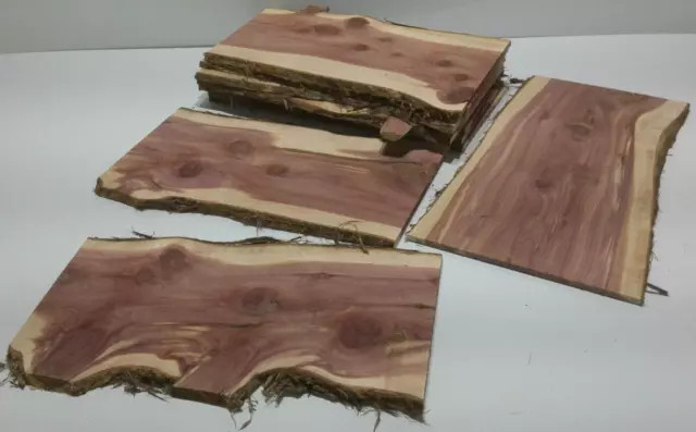 1 Milled Kiln Dried Eastern Red Cedar Lumber SLAB 24" X 8-12" X 1/2" RARE