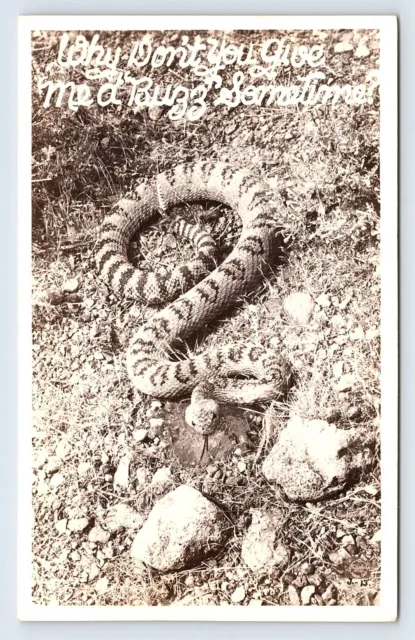 RPPC c1950s Rattlesnake Coiled Give Me a Buzz Sometime Real Photo Postcard C26