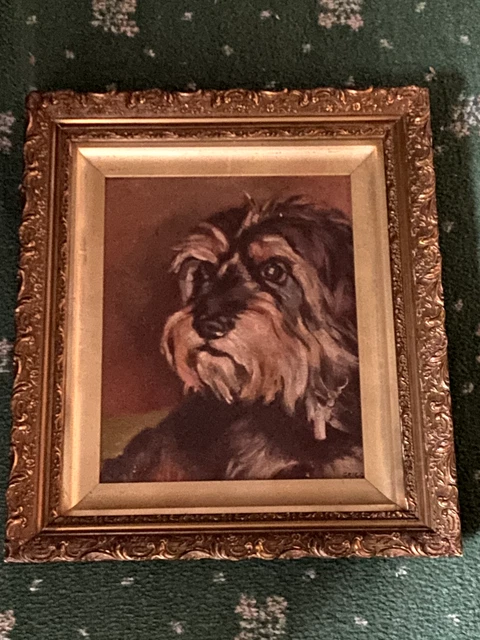Large Antique Dandie Dinmont Terrier Dog Oil Painting 1930 Signed On Canvas