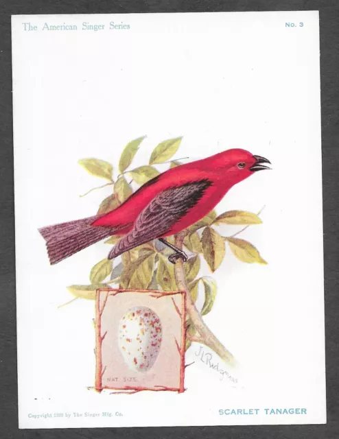 Trade Card Singer Sewing Machines American Song Bird Scarlet Tanager #3