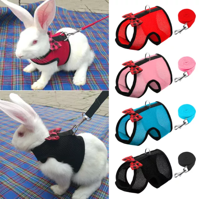 Small Animal Harness and Lead Rabbit Puppy Cat Dog Squirrel Mesh Walking Vest