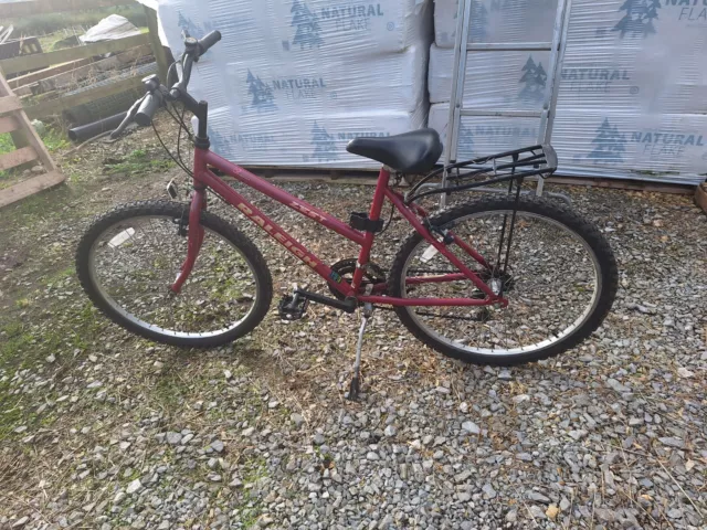LADIES TEENAGERS RALEIGH ZEST Endurance Bike 35.00 PicClick UK