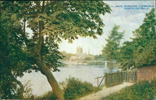 Hereford Cathedral From River Walk Photochrom Celesque series A42473