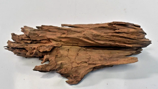 Driftwood Natural Tree trunk Heartwood Aquarium Fish Tank Deco Length 10 Inches