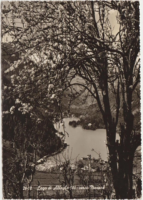 Carte Postale Ancienne Lac De Alleghe Belluno - Italie - 14 Février 1916