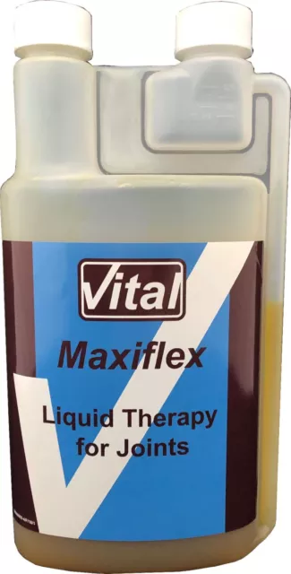 Horse Joint Supplement - Vital Equine Maxiflex - Glucosamine & MSM