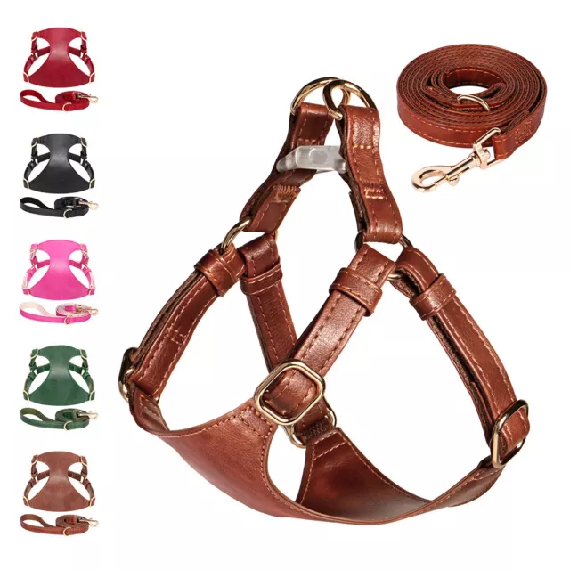 Soft Leather Puppy Dog Harness and Leash Set Pet Cat Vest Lead for Small Dogs XS