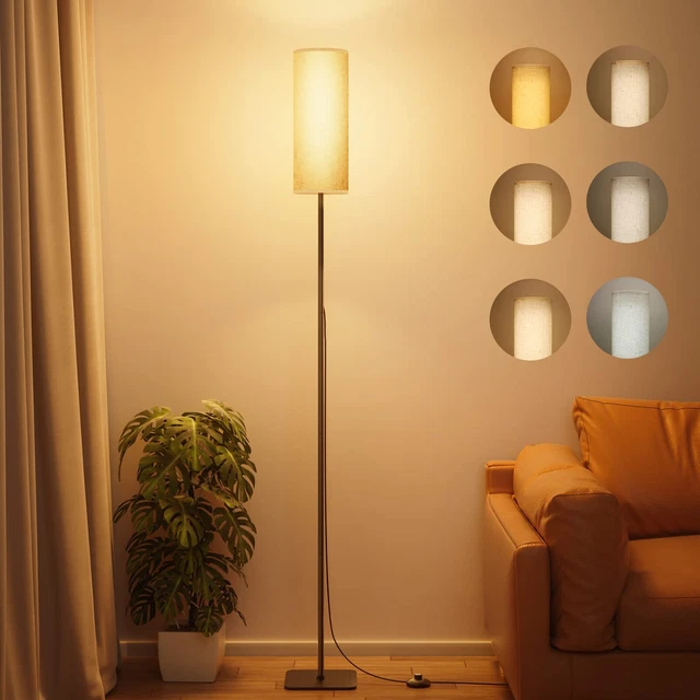 Modern Floor Lamp for Living Room - 6 Color Temperature
