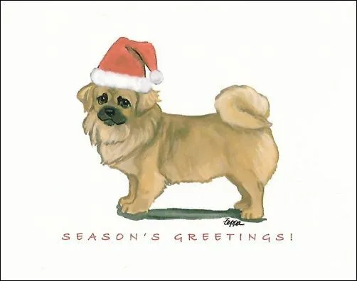 Tibetan Spaniel Christmas Cards ~ Dog in Santa Hat ~ 8 Cards & Envelopes
