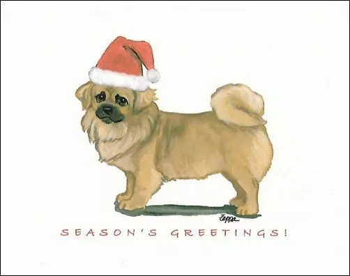 Tibetan Spaniel Christmas Cards ~ Dog in Santa Hat ~ 8 Cards & Envelopes