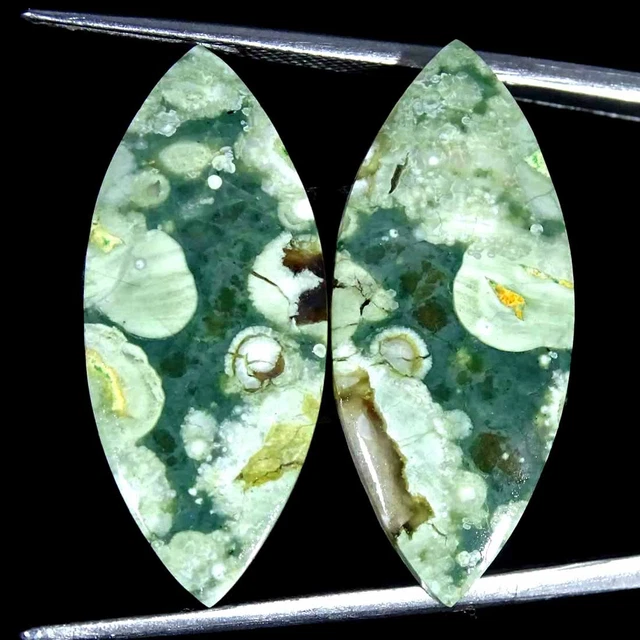 19.50Cts Natürlich Regenwald Jaspis Paar Rhyolite Marquise Cab Lose Schmuckstein