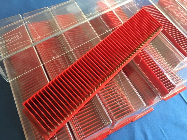 45  Liesegang Diamagazine rot 50er mit Deckel