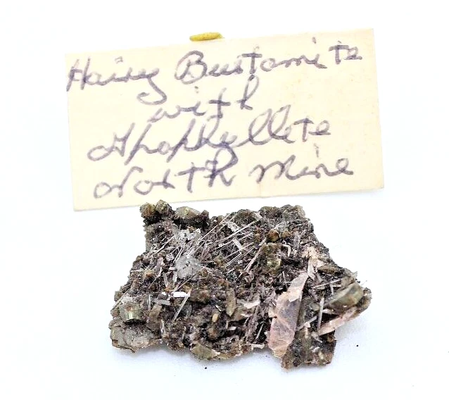 Hairy Bustamite with Apophyllite, Australia, Thumbnail Sized Specimen T237