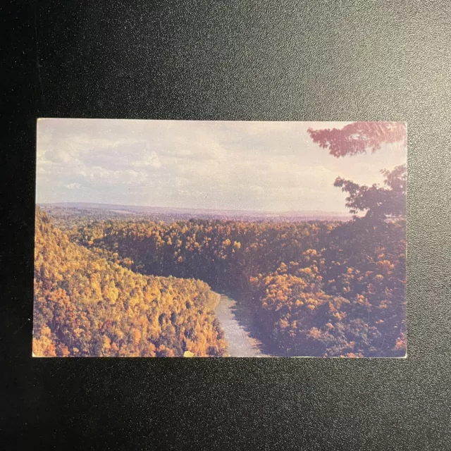 Letchworth State Park  Aerial View New York NY Vintage postcard B31