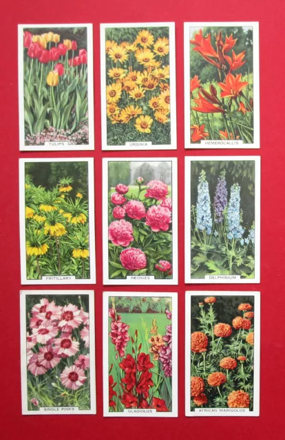 GALLAHER 9 VINTAGE 1938 CIGARETTE CARDS GARDEN FLOWERS  FOR No's  SEE PICTURES