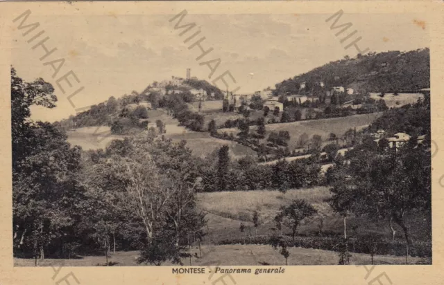 Cartolina Montese Modena Emilia Romagna Panorama Generale Storia Viaggiata 1929