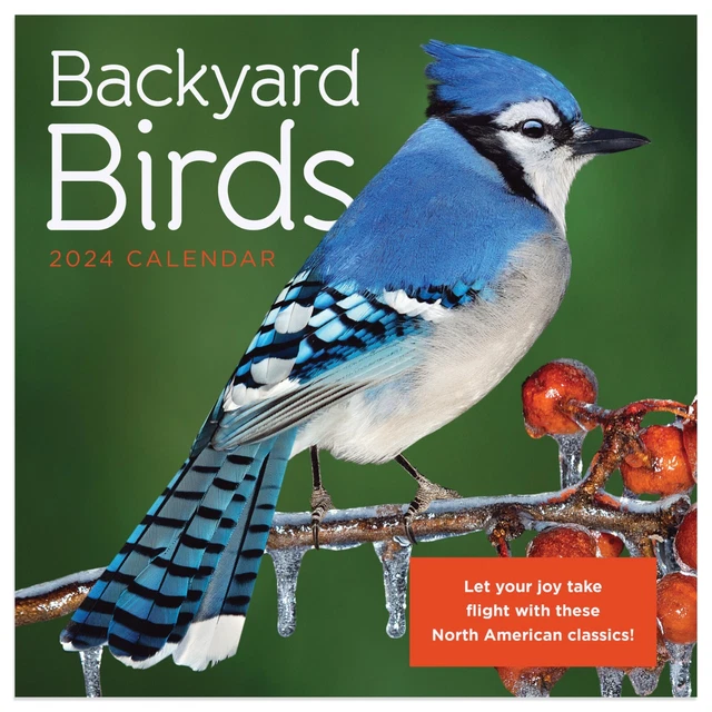 FINAL SALE 2024 Backyard Birds Mini Calendar 4.00 PicClick