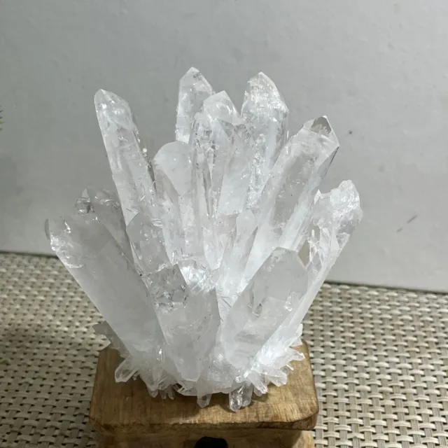 New Find  white Phantom Quartz Crystal Cluster Mineral Specimen Healing 457g g13