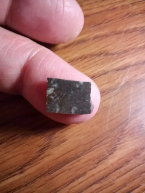 Nwa 10514 Meteorite; Achondrite Eucrite-Mmict Breccia Meteorite