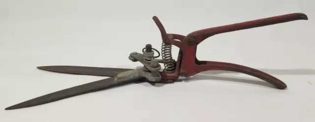 Vintage Garden, Grass Clippers, Shears