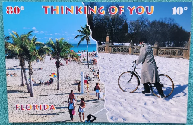 Thinking Of You From Sunny Florida Unused Vintage Postcard