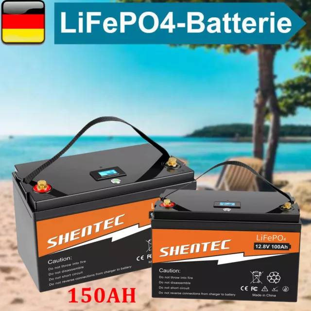 12V 200Ah 150Ah 100Ah 50Ah LiFePO4 Akku Lithium Batterie BMS für Solar Off-grid