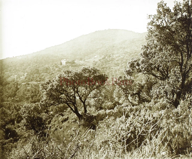 Paysage Montagne c1920 Photo Plaque de verre Stereo Vintage V15L30n16