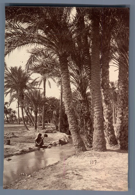 Tirage Albuminé Vintage Algérie, Biskra Circa 1880 - Format 21x27 Cm - Original