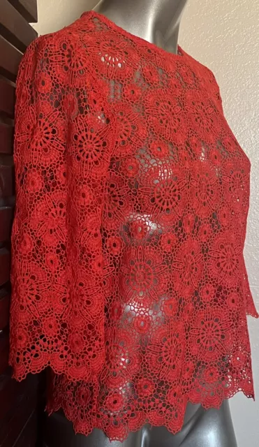 Zara crochet dark red bralette crop top medium New