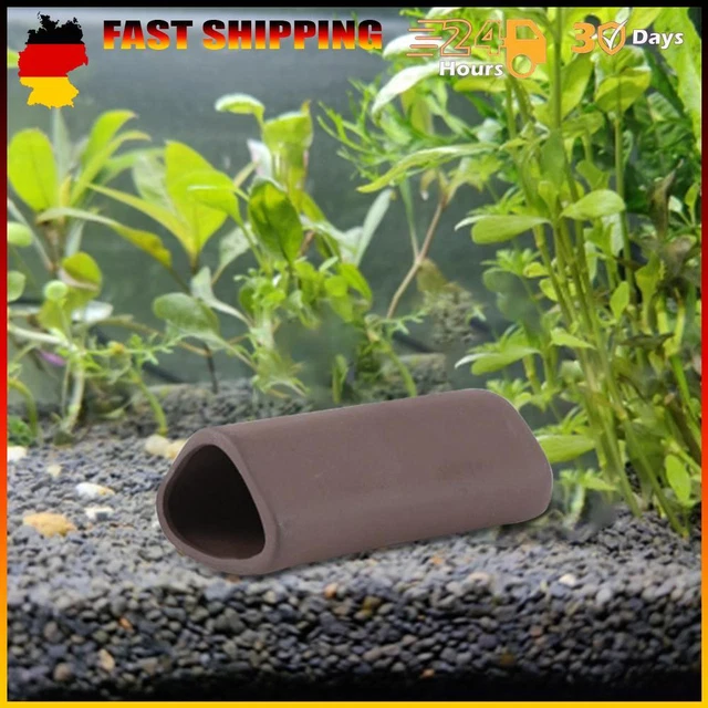 Tubi Di Corteccia Di Catappa Tipo A - Foto 11