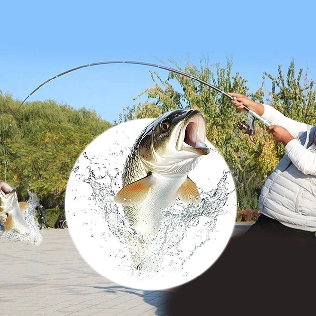 Canne à lancer télescopique Max Ranger avec moulinet - canne à pêche