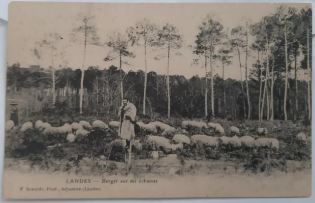 CPA 40 - LANDES  - Berger sur ses échasses -  F. Bernède, phot., Arjuzanx