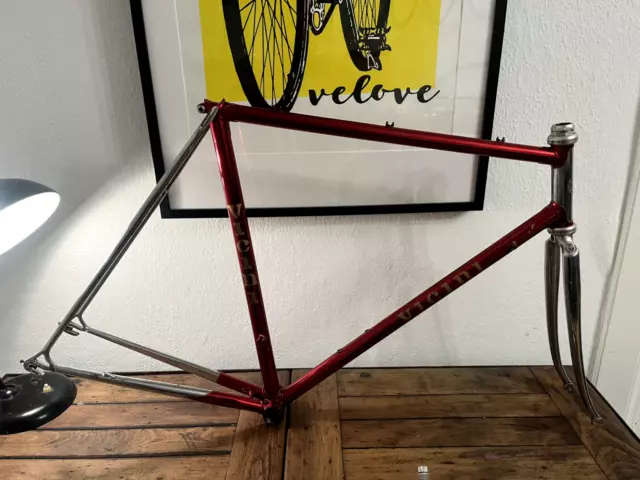 Vicini Cesena Cromovelato Rahmen frame roadbike Campagnolo Record Columbus SL