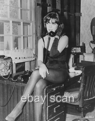 Natalie Wood Leggy Cheesecake 8X10 Photo 07 Natalie Wood Leggy Cheesecake 8X10 Photo 07