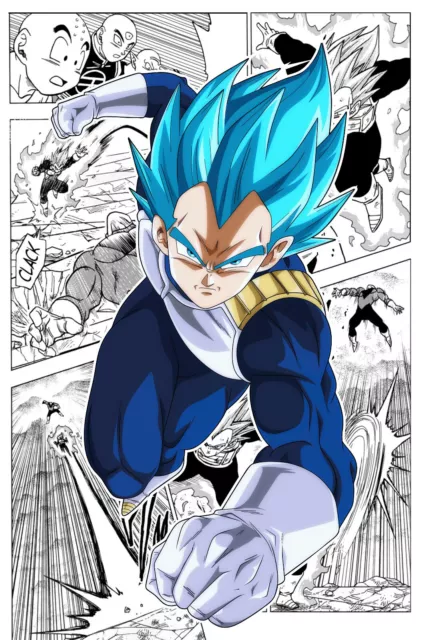 Dragon Ball Super Poster Black Goku Vegeta Blue Trunks 12in x 18in Free  Shipping