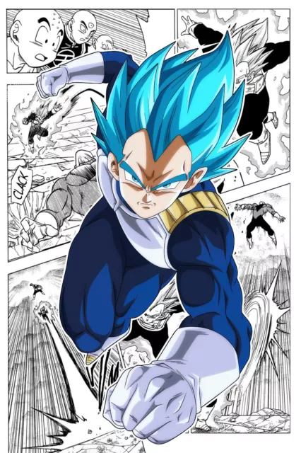 Dragon Ball Z SSJ Vegeta Collage 18in x 12in Free Shipping