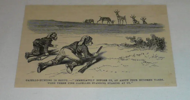 1878 Rivista Incisione ~ Gazelle-Hunting IN Egitto