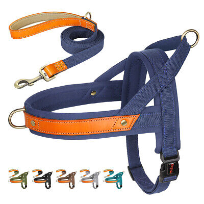 No Pull Dog Webbing Harness and Lead & Handle Adjustable Front Clip Walking Vest