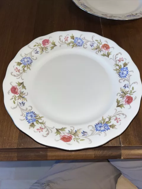 6 Vintage Embassy China Farolina Marjorie Dinner Plates 10"Royal Imports Euc